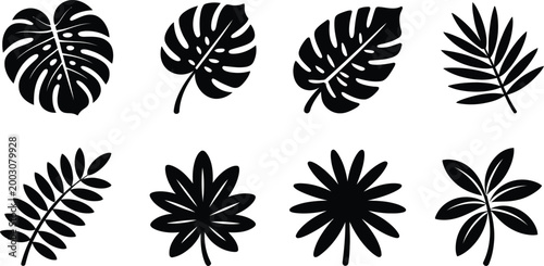 Collection of tropical leaves in black silhouette on white background