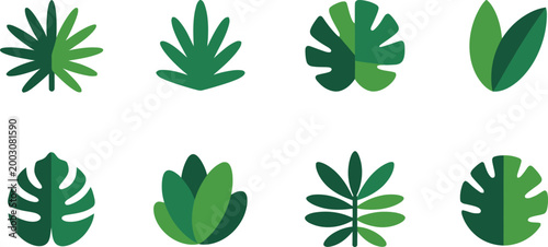 Collection of various green tropical leaves on white background