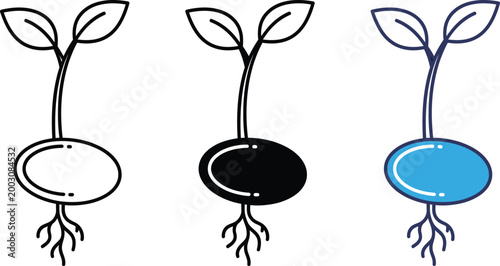 Seed germination stages a visual representation of growth and development