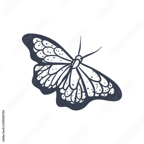 butterfly vintage hand drawing illustration