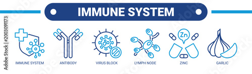 Immune System web banner icon vector illustration concept with icons of immune system, antibody, virus block, lymph node, zinc, and garlic.