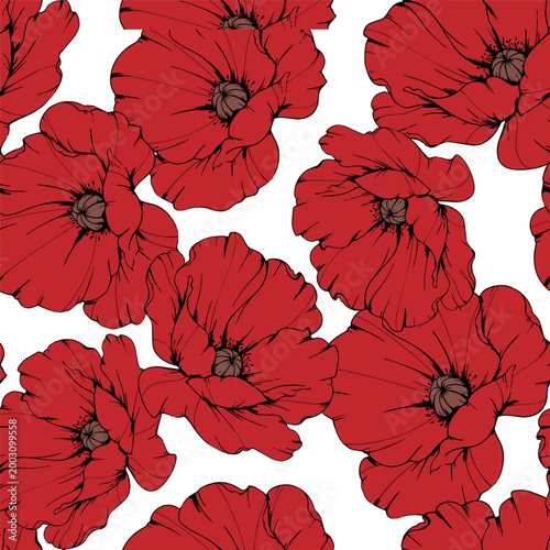 Hand Drawn Poppy Background. Poppy Seamless Pattern Trendy graphics. Poppy Line Art