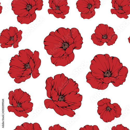 Hand Drawn Poppy Background. Poppy Seamless Pattern Trendy graphics. Poppy Line Art