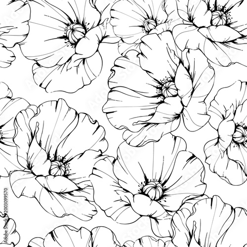Hand Drawn Poppy Background. Poppy Seamless Pattern Trendy graphics. Poppy Line Art