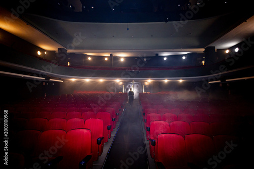 Schilderij op canvas Concert theater interior with rows of red velvet seats, elegant auditorium from
