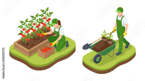 A young woman is harvesting ripe tomatoes from her garden, showcasing sustainable gardening practices and the joy of growing your own food in a beautiful, green setting.