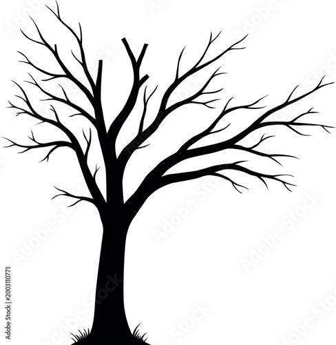 Bare tree silhouette against white background stark branches
