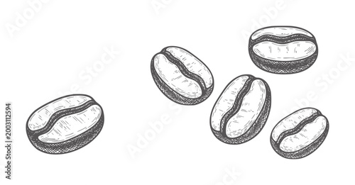Hand drawn coffee beans scattered white seed food drink