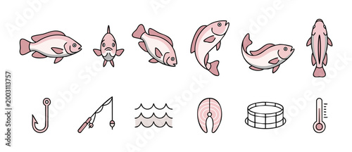 Tilapia fish icons set, aquatic food vector collection, seafood flat design elements with fishing hook, rod, and fillet, isolated on white background for professional restaurant or aquaculture industr