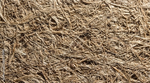 Close-up of tangled dry twigs and branches forming a dense natural texture.
