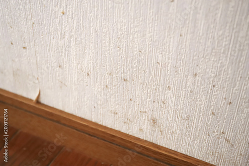 Photos 住宅の壁紙に発生した黒カビと汚れ