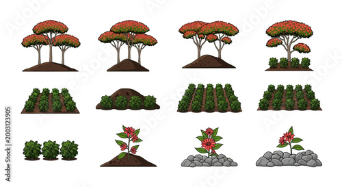Twelve illustrations of various flowering trees bushes and potted plants arranged in three rows against a white background