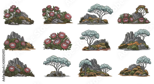 Twelve illustrative groupings of protea flowers rocky outcrops and sparse trees set against a plain white background