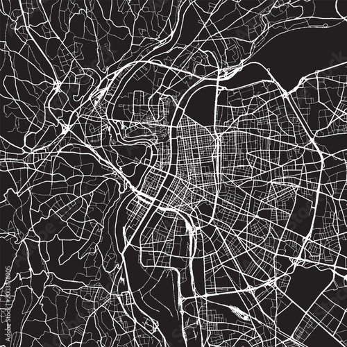 Foto Lyon France Vector Map, Detailed City Street Map Black and White Minimalist Line