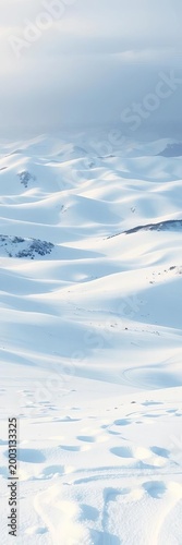 Vast, rolling hills disappear under a thick layer of fresh snowfall, creating a pristine, white expanse,  empty,  expanse