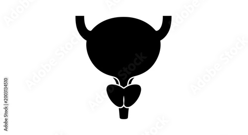 Black silhouette icon of human male bladder and prostate anatomy.