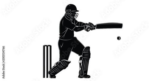 cricket player silhouette swinging bat against white background high quality professional
