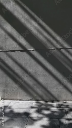 Sun-Kissed Silhouettes: Tree Shadows Swaying on the Wall
