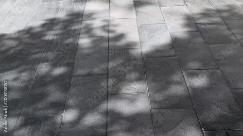 the shadow of swinging leafs falled on ceramic titles with sunlight, concept of abstract natural,wide-anglel.Tree Shadows Imprinted on the Floor Tiles