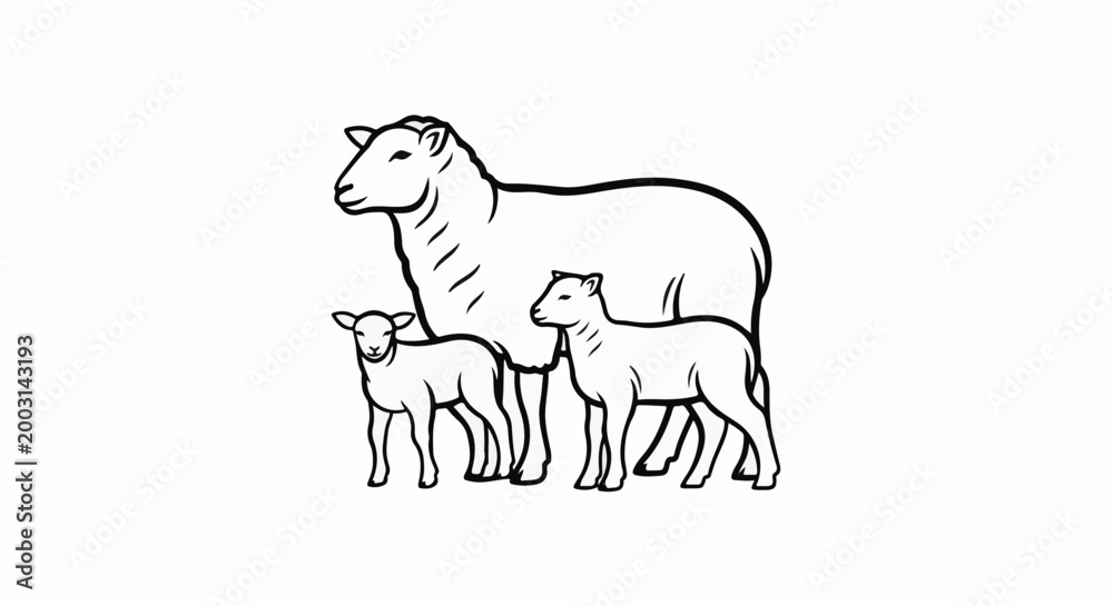 Obraz premium Stylized line drawing of a sheep and two lambs on white
