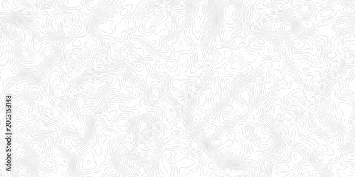 Black and white lines seamless Topographic map patterns, topography line map. Vintage outdoors style. The stylized height of the topographic map contour in lines and contours isolated on transparent.