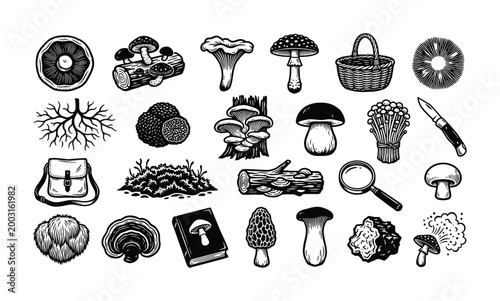 Illustrations of various mushrooms and related items for foraging enthusiasts