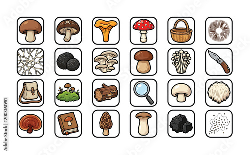 Collection of various mushroom types and foraging tools