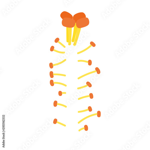 Abstract flower stamens, yellow and orange pollen parts design.