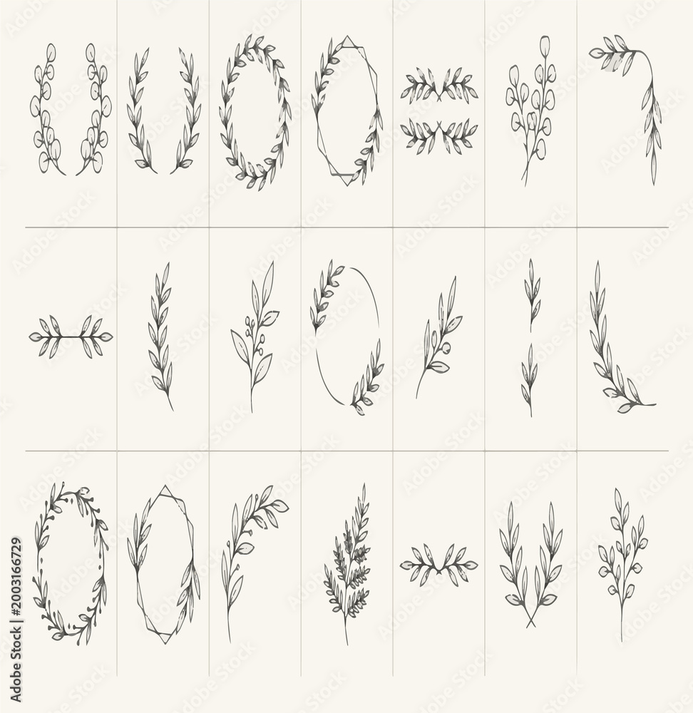 Fototapeta premium botanical_collection