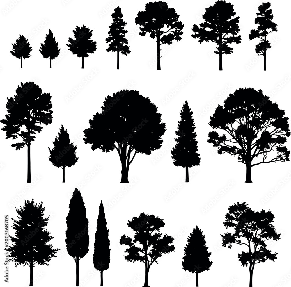 Fototapeta premium Diverse collection of black tree silhouettes including deciduous conifer cypress shapes for architectural and environmental design silhouette deciduous landscape environment evergreen