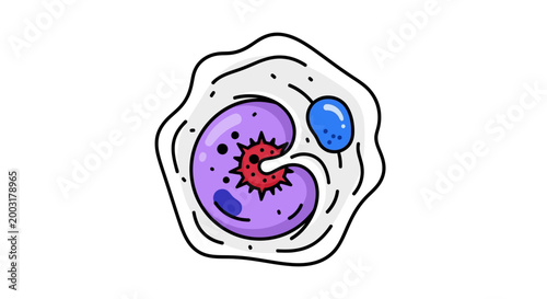Virus infected cell biology structure.