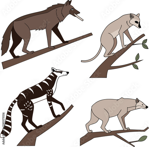 set of wild animals collection vector illustration with silhouettes of elephant lion tiger bear wolf and other mammals.