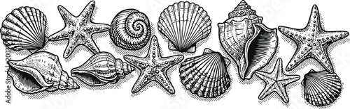 Quadro em tela Assorted Seashells and Starfish Arranged in a Decorative Border with Detailed En