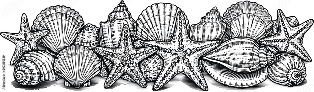 Φωτογραφία Delicate seashell arrangement in a detailed etching style with a monochromatic p