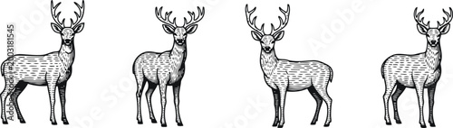 Four majestic stags in a line with intricate hatching detail on a clean white background