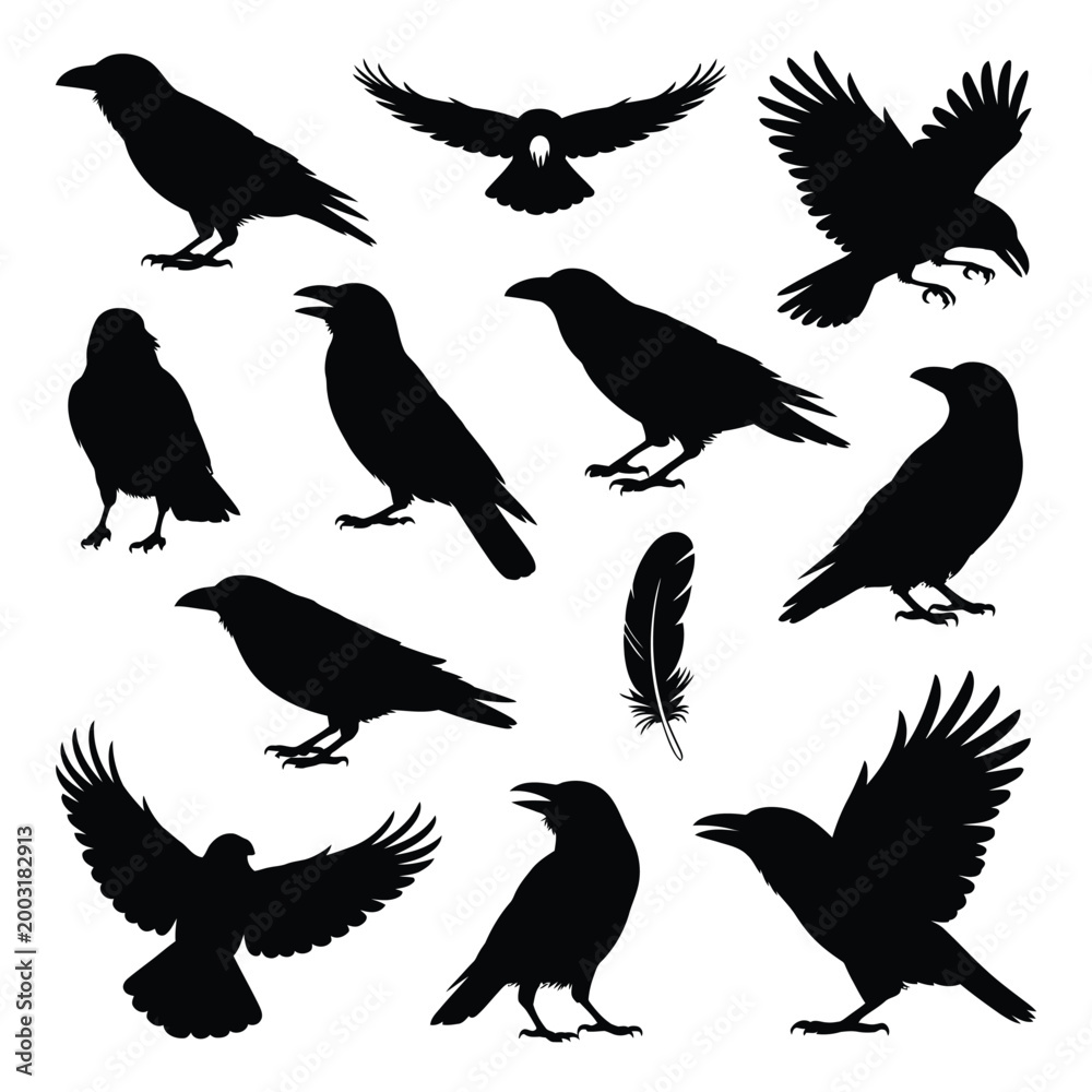 Fototapeta premium raven silhouettes in various poses on white background