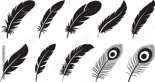 Assorted feather vector silhouettes including peacock and classic bird plumes for creative projects.