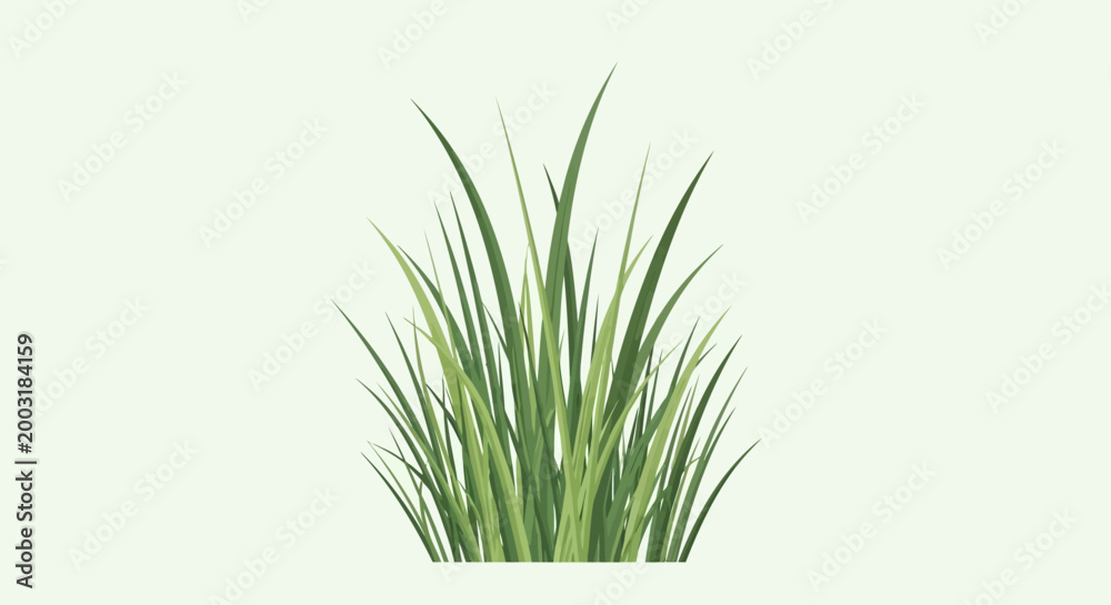 Fototapeta premium Green grass grows abundantly in natural environment outdoors freely