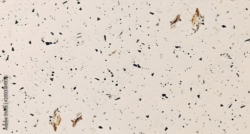 Speckled Beige Surface with Brown Accents