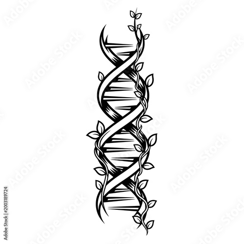Black and white dna double helix with leafy vines