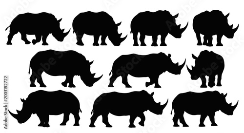 Rhinoceroses facing right in profile against a plain environment