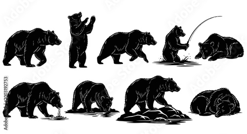 Wildlife bears action silhouettes in various poses graphic design element