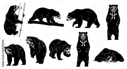Bears in Various Poses Against a Neutral Environment in a Graphic Illustration
