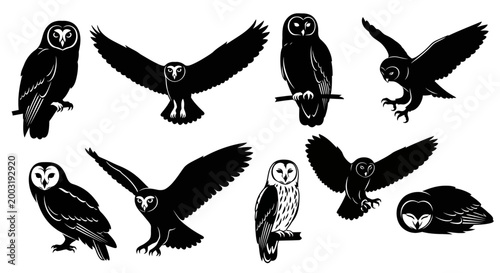 Owls in black and white illustration showcasing nature and simplicity