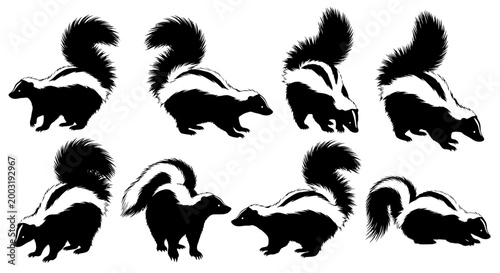 Skunks in various poses against a plain environment from a frontal viewpoint in a digital illustration