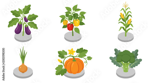 An eye-catching array of fresh, colorful vegetables displayed on stands. Perfect for agriculture, healthy eating, or culinary themes, highlighting organic produce.