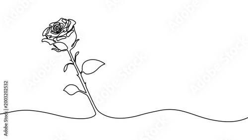 Continuous line flower illustration with elegant petals and leaves. Modern botanical sketch perfect for romantic invitations, decorative frames, Valentine's Day cards, and abstract backgrounds.