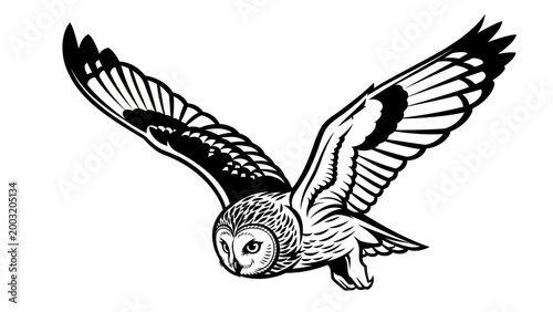 Barn Owl Flying with Wings Spread Wide in Black and White