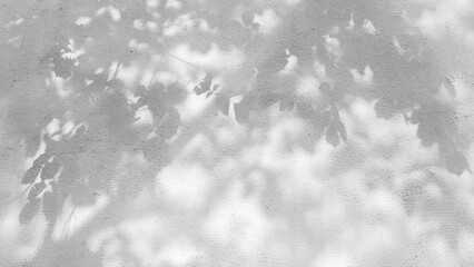 The monochrome texture of shadows from tree branches and leaves on the wall serves as an artistic background for meditation and interior design.