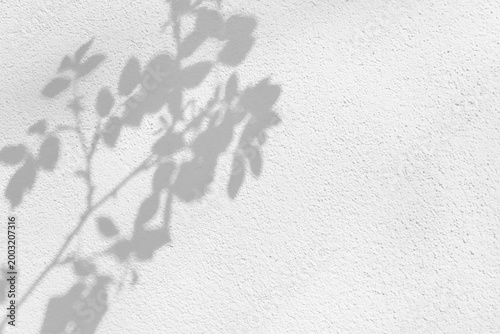 Leaf Shadow On White Wall - Minimalist Background For Wellness, Spa And Mindfulness Design